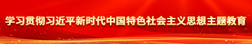 女生逼逼免费看学习贯彻习近平新时代中国特色社会主义思想主题教育